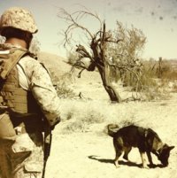 IED Soldier With Dog