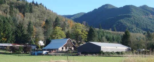 Ranch viewed from bunker